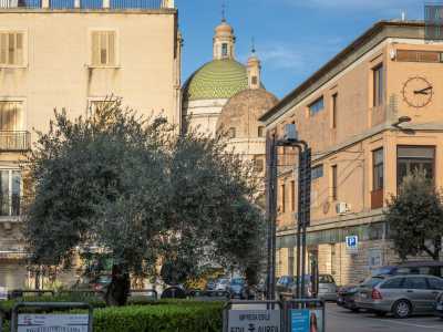 Siamo andati alla scoperta dell'oliva dolce di Bitetto girando tra le viuzze del centro storico...